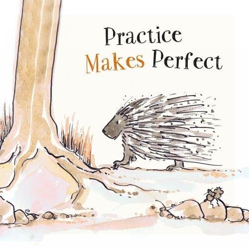 9780993038488: Practice Makes Perfect: 8 (Safari Series)