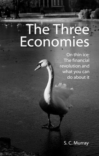 9780993143007: The Three Economies