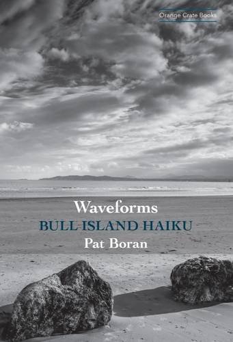 Beispielbild fr Waveforms Bull Island Haiku zum Verkauf von PBShop.store US