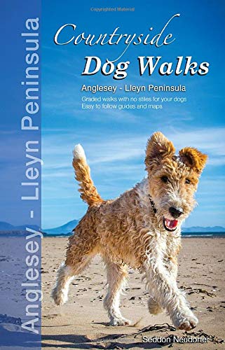 Beispielbild fr Countryside Dog Walks: Anglesey & The Lleyn Peninsula zum Verkauf von WorldofBooks