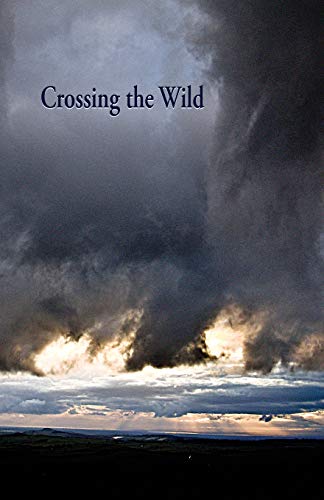 Imagen de archivo de Crossing the Wild: An Anthology of Poetry a la venta por Lucky's Textbooks