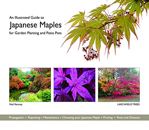 9780993213304: An Illustrated Guide to Japanese Maples for Garden Planting and Patio Pots