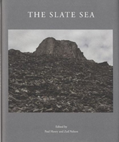 Beispielbild fr The Slate Sea zum Verkauf von WorldofBooks