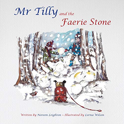 Stock image for Mr Tilly and the Faerie Stone for sale by Lucky's Textbooks