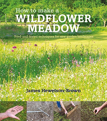 9780993389238: How to Make a Wildflower Meadow: Tried-and-Tested Techniques for New Garden Landscapes