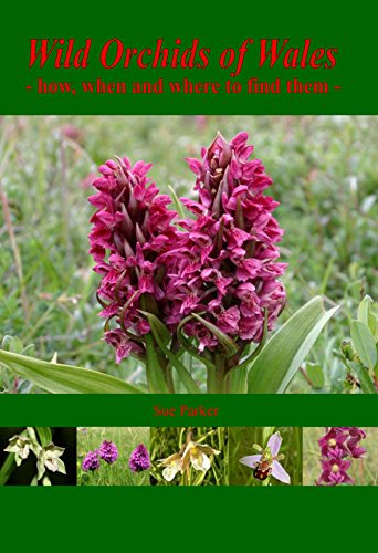 Beispielbild fr Wild Orchids of Wales - how, when and where to find them zum Verkauf von Wildside Books