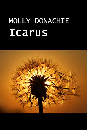 Beispielbild fr ICARUS zum Verkauf von WorldofBooks