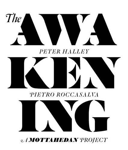Stock image for The Awakening: Peter Halley and Pietro Roccasalva - A Mottahedan Project for sale by Colin Martin Books