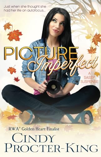 Stock image for Picture Imperfect for sale by Revaluation Books