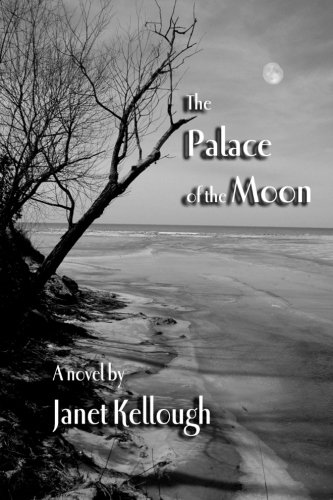 9780993720024: The Palace of the Moon