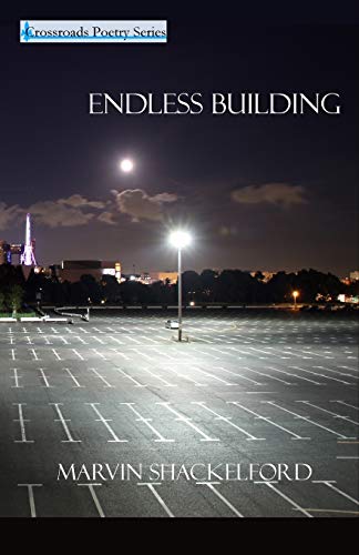 9780993769016: Endless Building