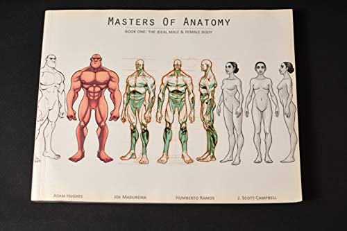 Beispielbild fr Masters of Anatomy Book One: The Ideal Male & Female Body zum Verkauf von BooksRun