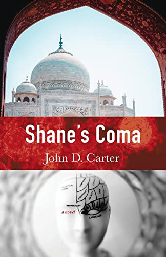 Beispielbild fr Shanes Coma zum Verkauf von Big River Books