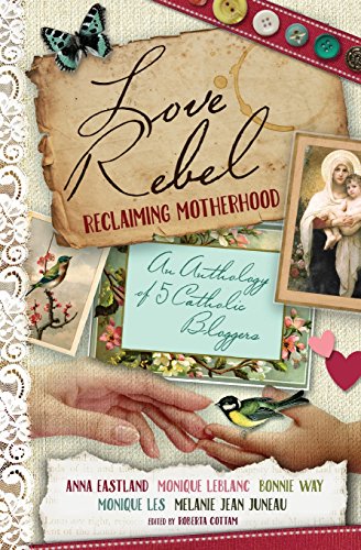 Imagen de archivo de Love Rebel: Reclaiming Motherhood a la venta por Bookmans