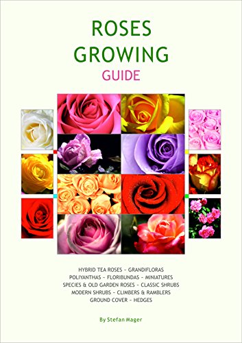 Stock image for Rose Growing Guide for sale by PBShop.store US