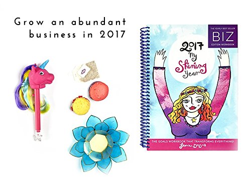 Stock image for 2017 My Shining Year - Biz Workshop for sale by SecondSale