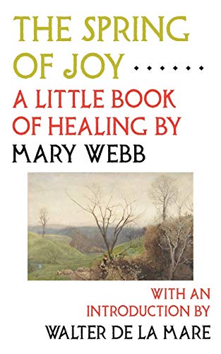 Imagen de archivo de The Spring of Joy: A Little Book of Healing a la venta por GF Books, Inc.