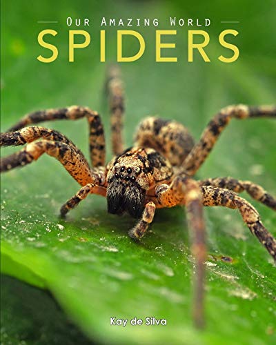 Beispielbild fr Spiders: Amazing Pictures & Fun Facts on Animals in Nature zum Verkauf von BooksRun