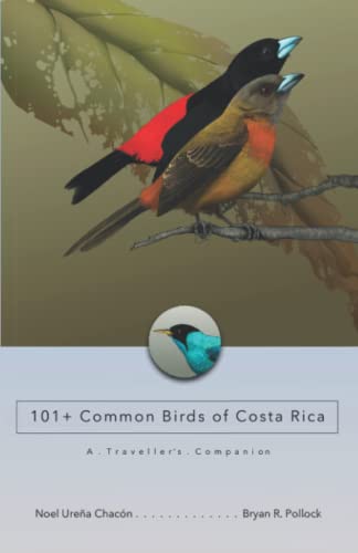 Imagen de archivo de 101+ Common Birds of Costa Rica: A Traveller?s Companion a la venta por GF Books, Inc.