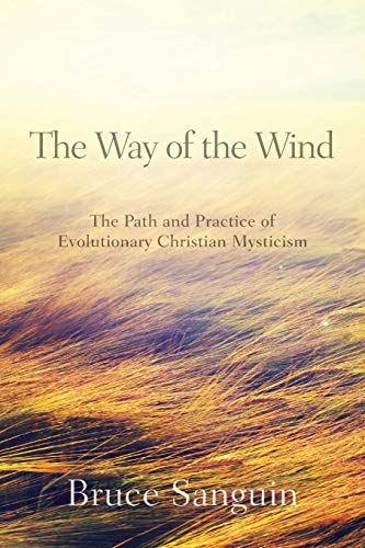 Stock image for The Way of the Wind: The Path and Practice of Evolutionary Christian Mysticism for sale by HPB-Red