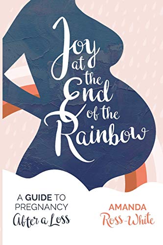 Stock image for Joy at the End of the Rainbow: A Guide for Pregnancy After a Loss for sale by AwesomeBooks