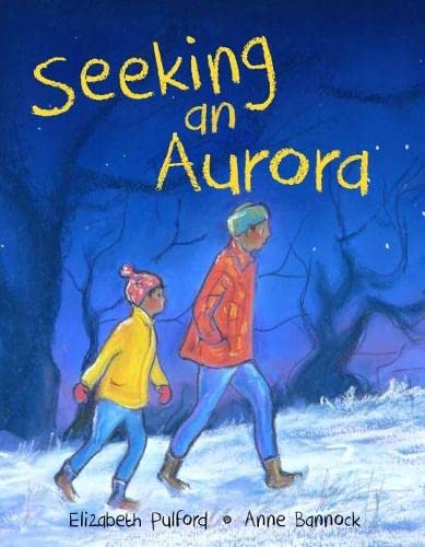 9780995106444: Seeking an Aurora