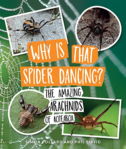 Beispielbild fr Why Is That Spider Dancing? zum Verkauf von Blackwell's