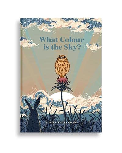 Beispielbild fr What Colour Is the Sky? zum Verkauf von Blackwell's