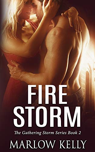 Beispielbild fr Fire Storm zum Verkauf von Better World Books