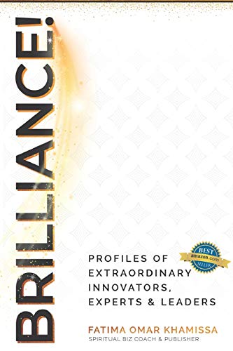 Stock image for Brilliance: Expert Profiles of Innovators, Influencers and Experts for sale by Lucky's Textbooks