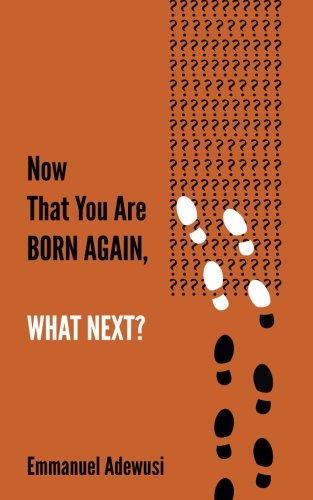 Beispielbild fr Now That You Are Born Again, What Next? zum Verkauf von Books Unplugged