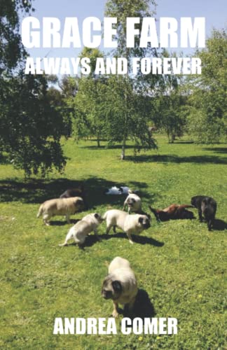Beispielbild fr Grace Farm Always and Forever zum Verkauf von ThriftBooks-Atlanta