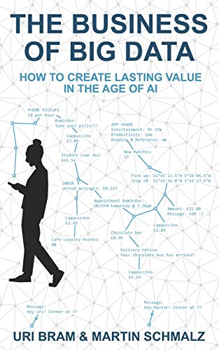 Imagen de archivo de The Business Of Big Data: How to Create Lasting Value in the Age of AI a la venta por HPB-Diamond