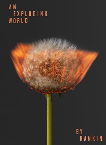 Stock image for An Exploding World for sale by WorldofBooks