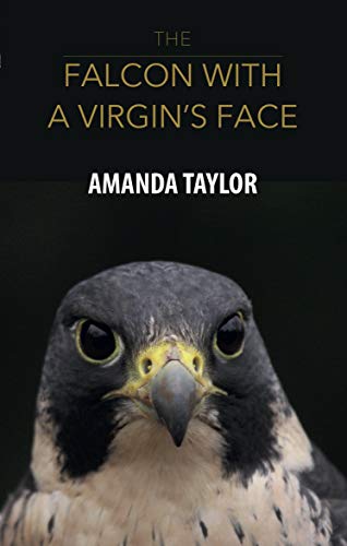 Beispielbild fr The Falcon with a Virgins Face zum Verkauf von Reuseabook