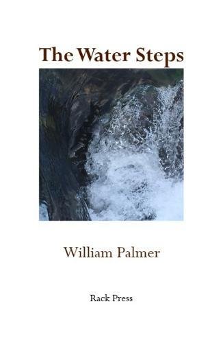 Stock image for The Water Steps for sale by Reuseabook