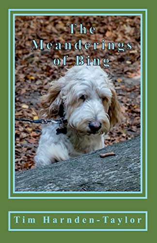 Imagen de archivo de The Meanderings of Bing: A gentle, humorous look at life, squeaky balls, whizzers and other great philosophical mysteries through the meanderings of . their days together (Lines from My Forehead) a la venta por GF Books, Inc.