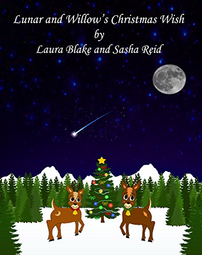9780995668904: Lunar and Willow's Christmas Wish