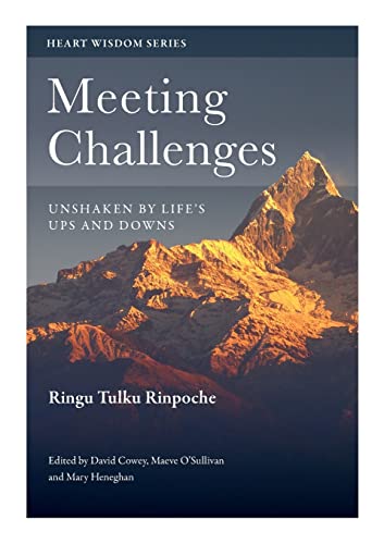 Stock image for Meeting Challenges: Unshaken by Life's Ups and Downs for sale by GreatBookPrices