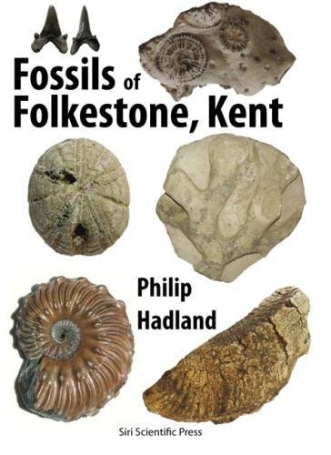 Stock image for Fossils of Folkestone, Kent for sale by WorldofBooks