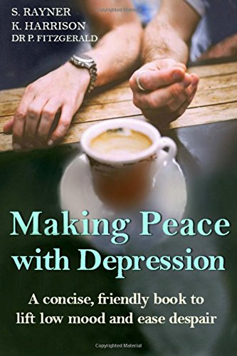 Stock image for Making Peace with Depression: A warm, supportive book to lift low mood and ease despair ('Making Friends') for sale by MusicMagpie