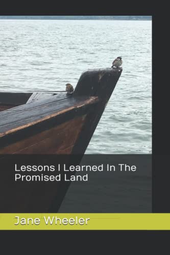 Beispielbild fr Lessons I Learned in The Promised Land zum Verkauf von Lucky's Textbooks