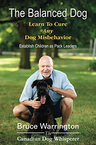 Stock image for The Balanced Dog: Learn To Cure Any Dog Misbehavior for sale by Blue Vase Books