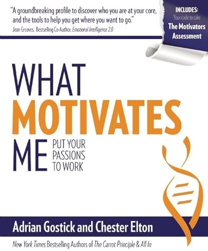 9780996029704: What Motivates Me: Put Your Passions to Work