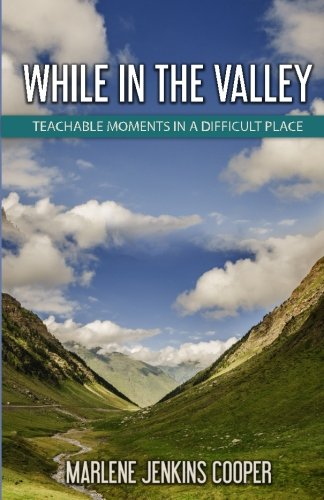 Stock image for While In The Valley: Teachable Moments In a Difficult Place for sale by Gulf Coast Books