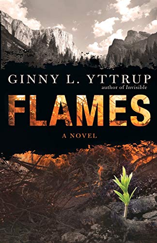 Beispielbild fr Flames : A Novel zum Verkauf von Better World Books