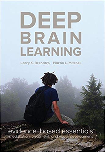Stock image for Deep Brain Learning for sale by Better World Books: West