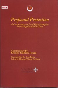 Beispielbild fr Profound Protection: A Commentary on Lord Jigten Sumgon's Seven Supplications to Tara by Khenpo Tsultrim Tenzin (2015-05-03) zum Verkauf von Burke's Book Store