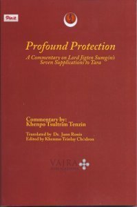 Imagen de archivo de Profound Protection: A Commentary on Lord Jigten Sumgon's Seven Supplications to Tara by Khenpo Tsultrim Tenzin (2015-05-03) a la venta por Burke's Book Store