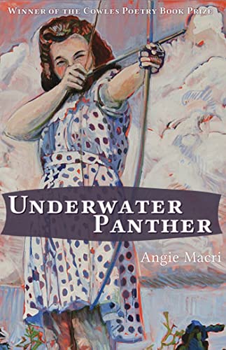 Beispielbild fr Underwater Panther zum Verkauf von A Team Books